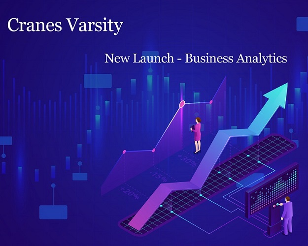 The Gateway to Business Success through Business Analytics