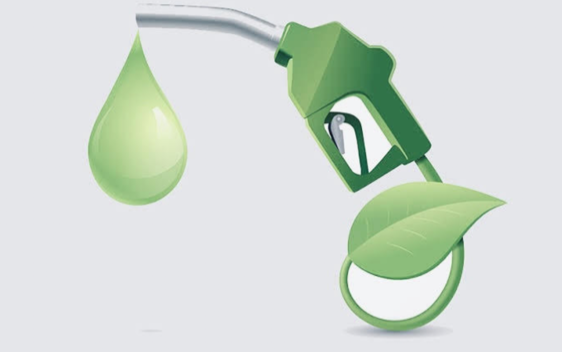 Country needs increased production of Biofuels