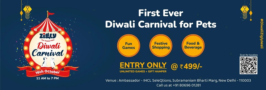 Zigly Brings India’s First-Ever Diwali Carnival to Delhi NCR!