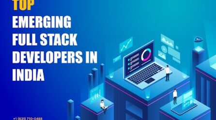 Top Emerging Full Stack Developers in India