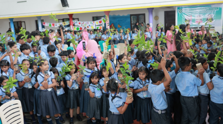 Tree Donate Today Foundation Unveils Global Mission to Plant 500 Crore Trees by 2030